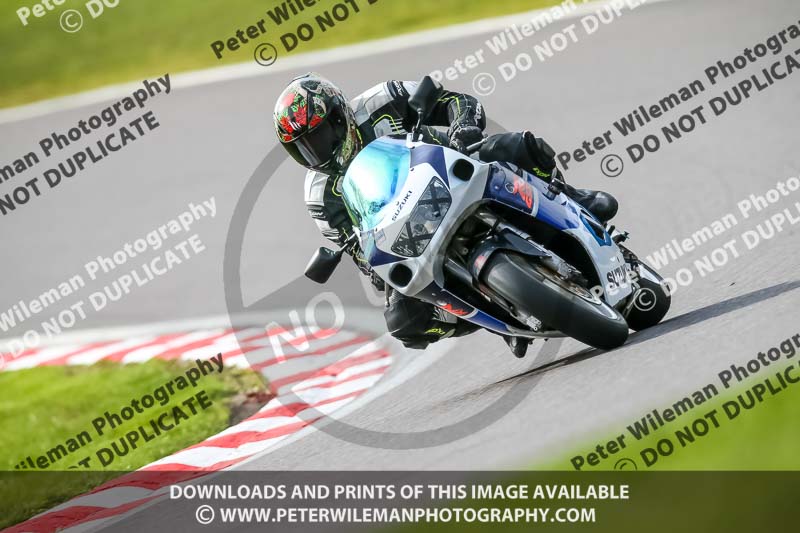 Oulton Park 21st March 2020;PJ Motorsport Photography 2020;anglesey;brands hatch;cadwell park;croft;donington park;enduro digital images;event digital images;eventdigitalimages;mallory;no limits;oulton park;peter wileman photography;racing digital images;silverstone;snetterton;trackday digital images;trackday photos;vmcc banbury run;welsh 2 day enduro